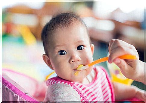 Babies' diet should consist mainly of breast milk and simple fruit and vegetable purees