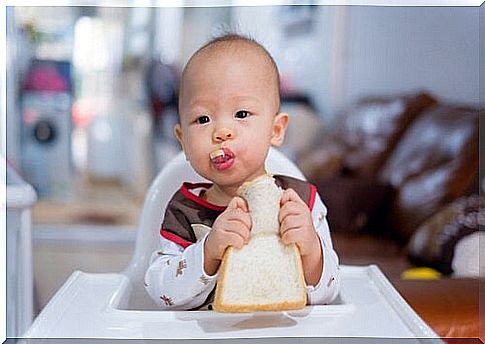 A baby eats bread