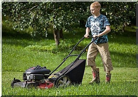 Teenager mowing the lawn