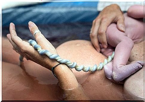 the baby's umbilical cord