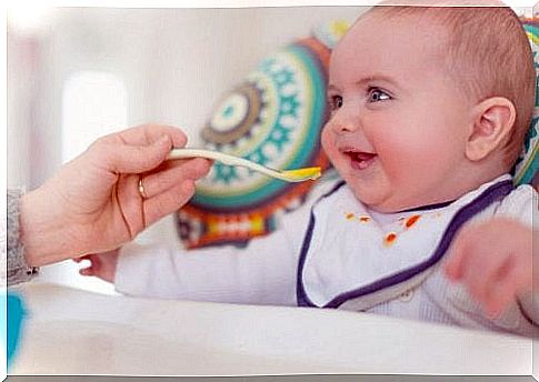 Sweet recipes for babies delight young and old alike.