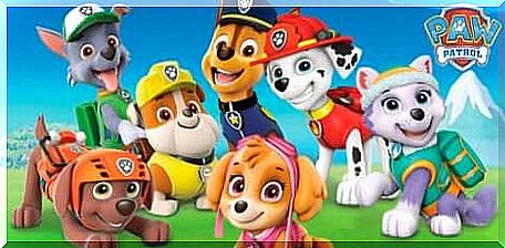 Paw Patrol puppies. 